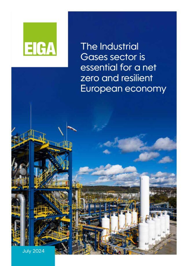 EIGA -WhitePaper_cover page
