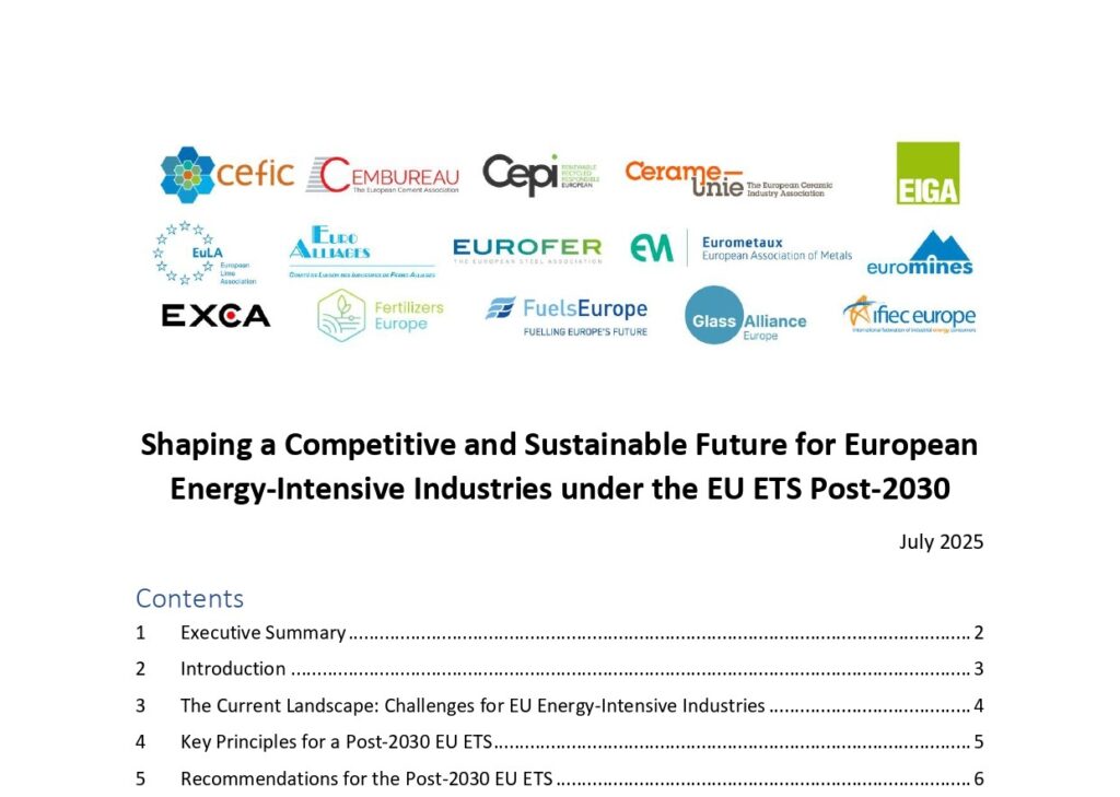 Energy Intensive Industries: do they have a future in Europe?