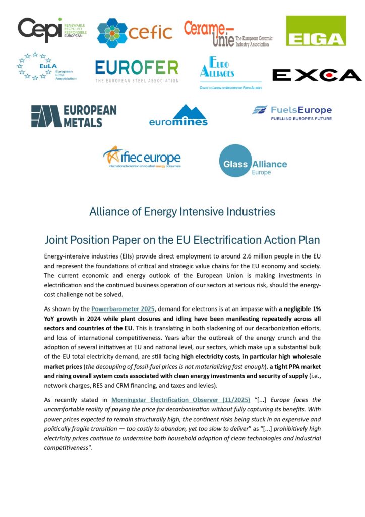 Energy-intensive industries set out demands for affordable electricity in the EU